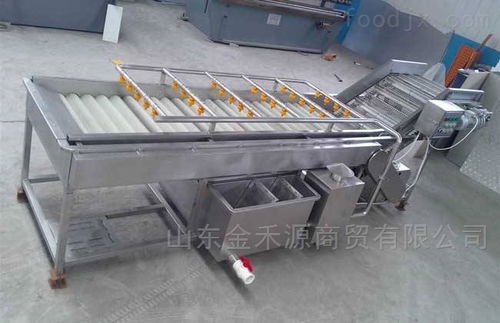 秋意正濃公司 引領產(chǎn)業(yè)革新，新型果蔬清洗風干流水線與先進汽輪機同步上市